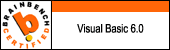 Brainbench Visual Basic 6.0